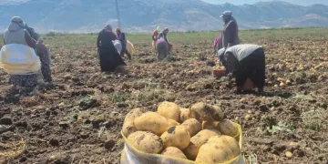 Yolcu otobüsü bariyere çarptı: 5 yaralı