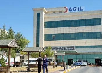 Bahşiş almak için hem kendi canlarını hem de trafiği tehlikeye attılar