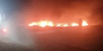 Bahşiş almak için hem kendi canlarını hem de trafiği tehlikeye attılar
