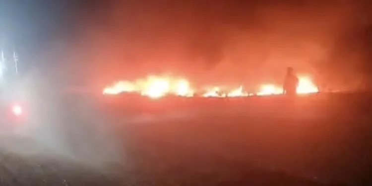 Bahşiş almak için hem kendi canlarını hem de trafiği tehlikeye attılar