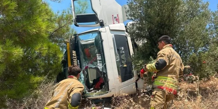 Bahşiş almak için hem kendi canlarını hem de trafiği tehlikeye attılar