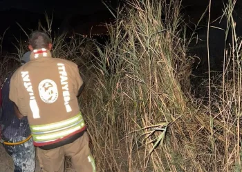 Bahşiş almak için hem kendi canlarını hem de trafiği tehlikeye attılar