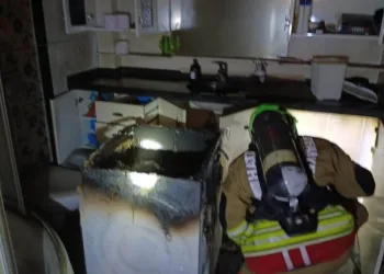 Bahşiş almak için hem kendi canlarını hem de trafiği tehlikeye attılar