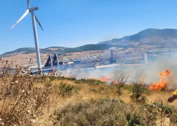 Bahşiş almak için hem kendi canlarını hem de trafiği tehlikeye attılar