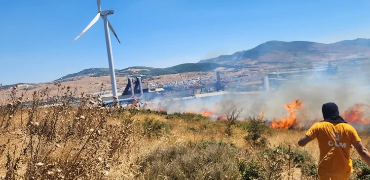Bahşiş almak için hem kendi canlarını hem de trafiği tehlikeye attılar
