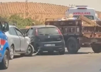 Bahşiş almak için hem kendi canlarını hem de trafiği tehlikeye attılar