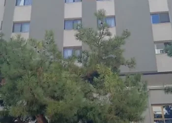 Bahşiş almak için hem kendi canlarını hem de trafiği tehlikeye attılar