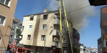 Bahşiş almak için hem kendi canlarını hem de trafiği tehlikeye attılar