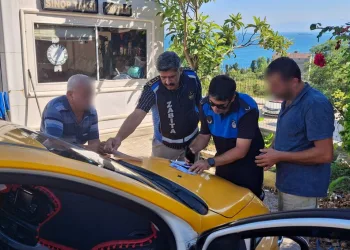 Sürüye yıldırım isabet etti: 36 küçükbaş hayvan telef oldu