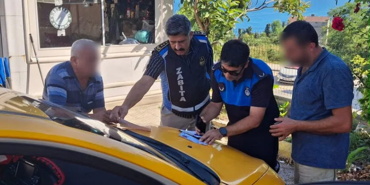 Sürüye yıldırım isabet etti: 36 küçükbaş hayvan telef oldu