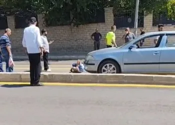 Sürüye yıldırım isabet etti: 36 küçükbaş hayvan telef oldu