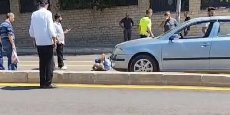 Sürüye yıldırım isabet etti: 36 küçükbaş hayvan telef oldu