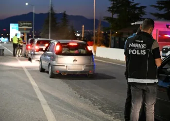 Sürüye yıldırım isabet etti: 36 küçükbaş hayvan telef oldu