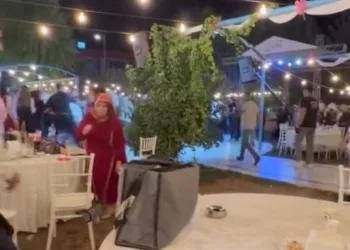 Sürüye yıldırım isabet etti: 36 küçükbaş hayvan telef oldu