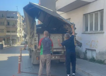 Sürüye yıldırım isabet etti: 36 küçükbaş hayvan telef oldu