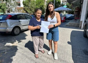 Sürüye yıldırım isabet etti: 36 küçükbaş hayvan telef oldu