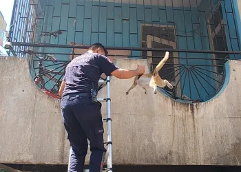 Park halindeyken yanan otomobil kullanılmaz hale geldi