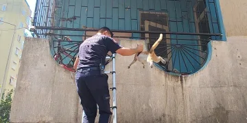 Park halindeyken yanan otomobil kullanılmaz hale geldi