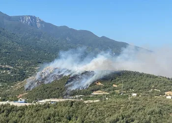 Bursa’da üç noktada aynı anda yangın! Uludağ’ın etekleri yanıyor