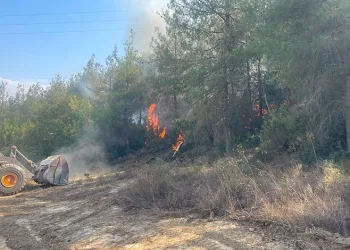 Bilecik’te orman yangını kısmen kontrol altına alındı