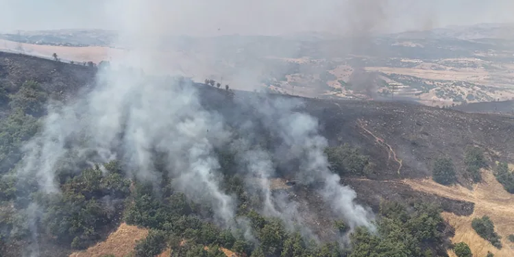 Tunceli’de orman yangını