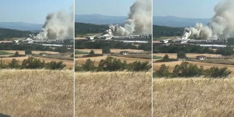 Bursa’da tavuk çiftliğinde yangın