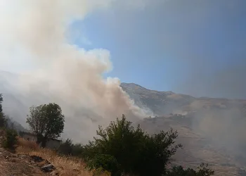 Pütürge’de orman yangını
