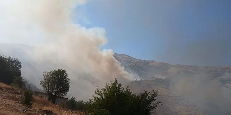Pütürge’de orman yangını