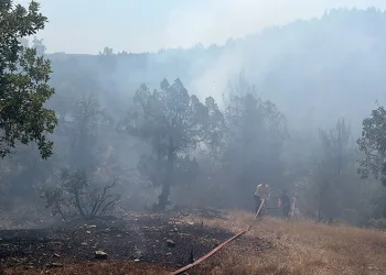 Bursa’da orman yangınına havadan ve karadan müdahale