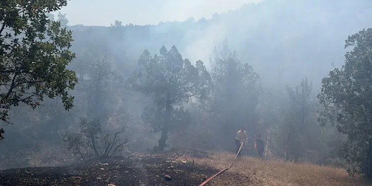 Bursa’da orman yangınına havadan ve karadan müdahale