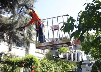 Osmangazi’de Yeşil Alanlar Titizlikle Korunuyor