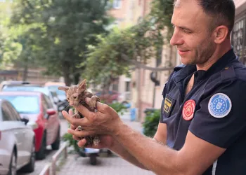 Yağmur suyu giderine sıkışan kediyi itfaiye kurtardı