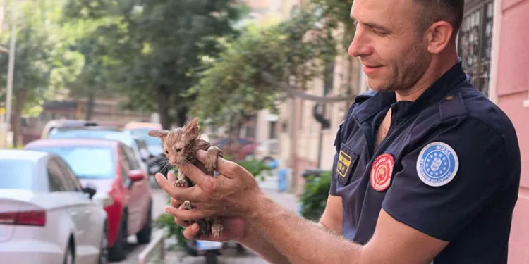 Yağmur suyu giderine sıkışan kediyi itfaiye kurtardı