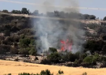 Adıyaman’da orman yangını