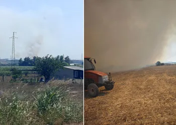 Karacabey’de makilik alanda orman yangını
