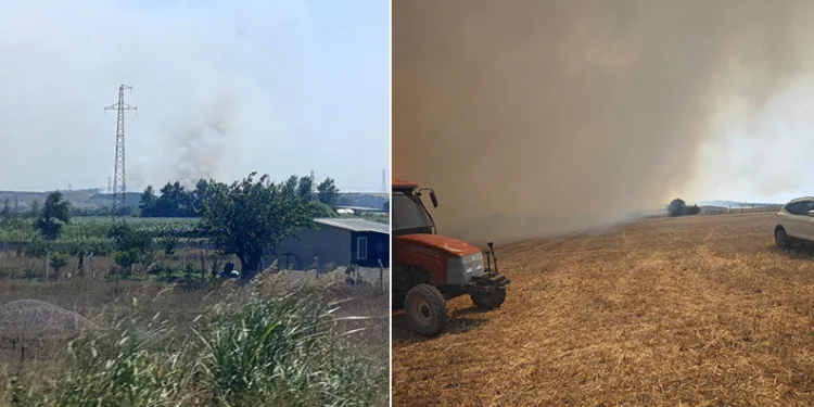 Karacabey’de makilik alanda orman yangını
