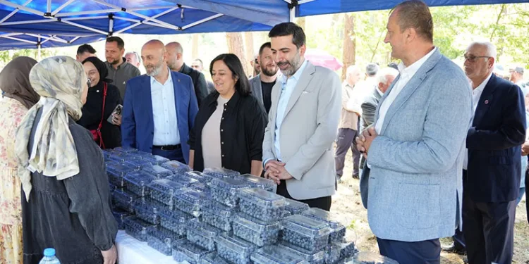 İznik’te 5. Maviyemiş Festivali’ne yoğun ilgi