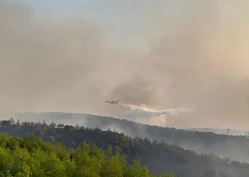 Kula’daki orman yangını kontrol altına alındı