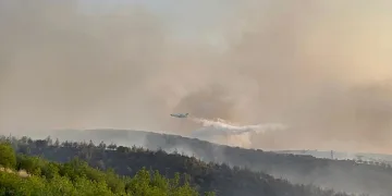 Kula’daki orman yangını kontrol altına alındı