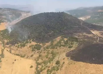 Elazığ’daki orman yangını kontrol altına alındı