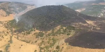 Elazığ’daki orman yangını kontrol altına alındı