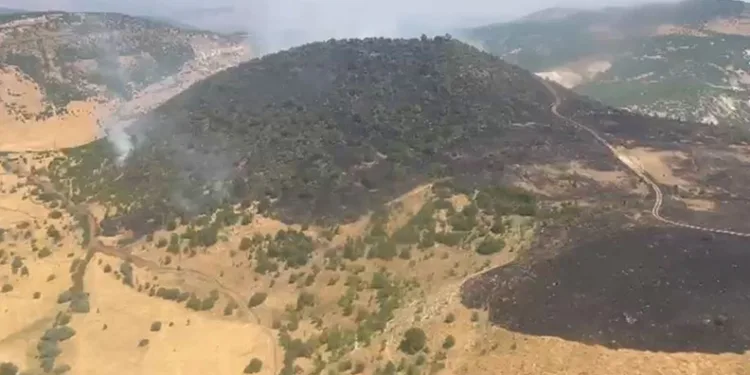 Elazığ’daki orman yangını kontrol altına alındı