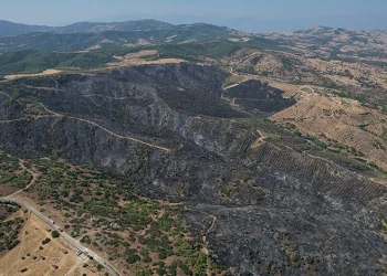 Yangının bilançosu gün ağarınca ortaya çıktı