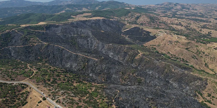 Yangının bilançosu gün ağarınca ortaya çıktı