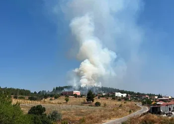 Denizli’de orman yangını hızlı müdahaleyle kontrol altına alındı
