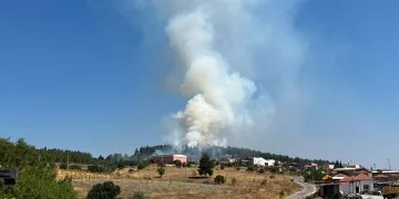 Denizli’de orman yangını hızlı müdahaleyle kontrol altına alındı