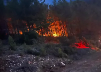 Alanya’da ormanlık alanda çıkan yangın kontrol altına alındı