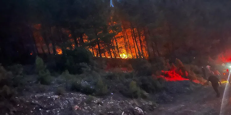 Alanya’da ormanlık alanda çıkan yangın kontrol altına alındı