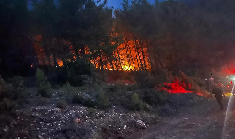 Alanya’da ormanlık alanda çıkan yangın kontrol altına alındı