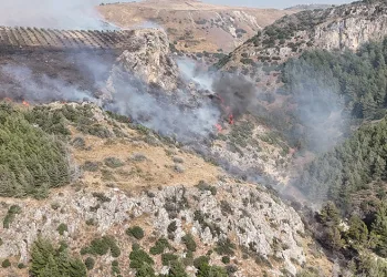 Hatay’daki orman yangını kontrol altına alındı